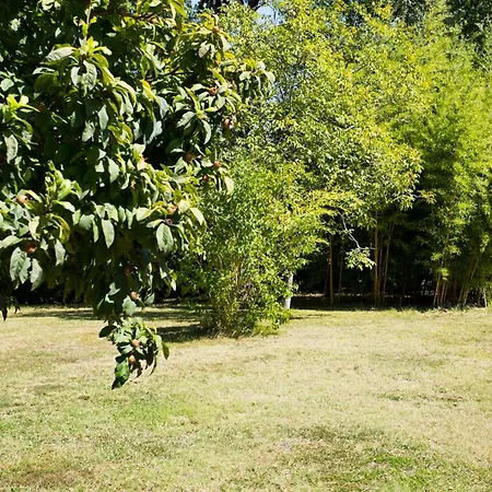 فيلة Mauzac-et-grand-castang Sleeps 16 Pool Wifi Mauzac-et-Grand-Castang