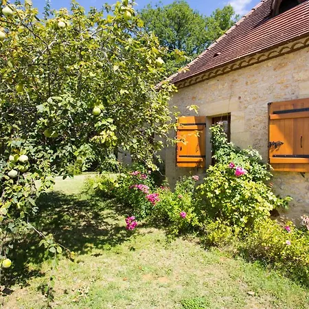 Mauzac-et-grand-castang Sleeps 16 Pool Wifi * Mauzac-et-Grand-Castang